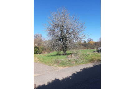 Exklusives Baugrundstück - 189.000,00&nbsp;EUR Kaufpreis, ca.&nbsp; 0,00&nbsp;m&sup2; in Trippstadt (PLZ: 67705)