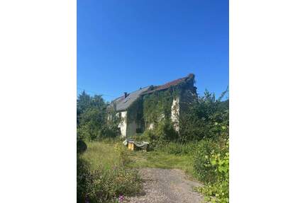 Großes schön gelegenes Grundtsück nahe an der Prims in Wadern-Büschfeld zu verkaufen