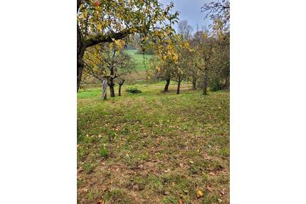 Obstwiese zu verpachten - 50,00&nbsp;EUR Kaltmiete, ca.&nbsp; 0,00&nbsp;m&sup2; in Bietigheim-Bissingen (PLZ: 74321)