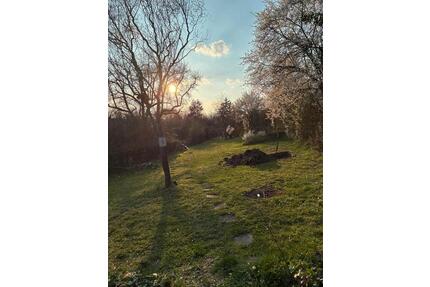 Naturnaher Garten in Bestlage Leonberg Ehrenberg