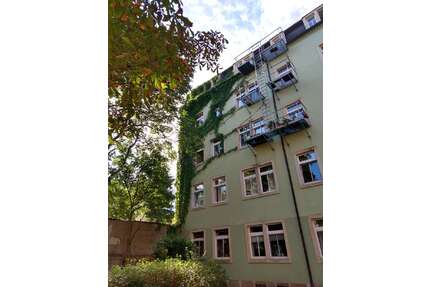 Wohnung zum Mieten in Dresden 500,00 € 42 m²