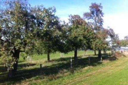 Lichtdurchflutete Wohnung 1OG, 3 Zi KDB, Balkon, 105 m2, Gartenmitbenutzung - Waldbröl