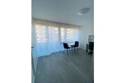 Möbilierte 1ZKB Wohnung in Ludwigshafen Süd - Ludwigshafen am Rhein Parkinsel