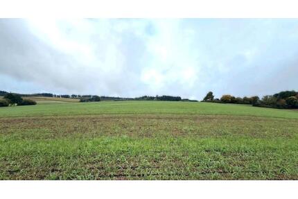 Landwirtschaftsfläche bei Lemberg - Pirmasens Niedersimten