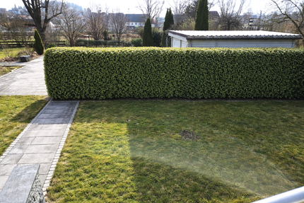 Wohnung zum Mieten in Langenbach 1.100,00 € 98 m²