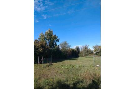 Grundstück zur Verpachtung ideal für Tierhaltung - Biederitz