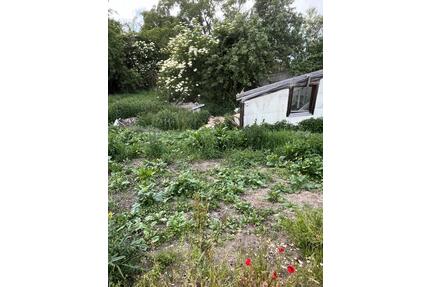 Wochenendgrundstück Ingolstadt zu verpachten - Pfaffenhofen an der Ilm