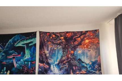 Wohnung zum Kaufen in Loxstedt 52.000,00 € 36.4 m²