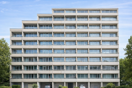 Wohnung zum Kaufen in Offenbach am Main 1.099.000,00 € 348 m²