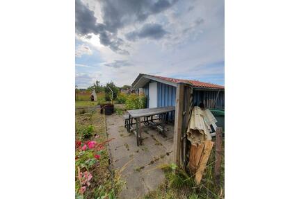 Kleingarten mit Häuschen und Obstbestand - Greifswald