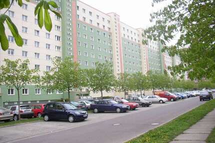 Wohnung zum Mieten in Magdeburg 309,50 € 49.52 m²