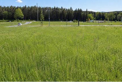 Sonniges Baugrundstück mit Blick ins Grüne – ruhige Lage, Neubaugebiet, Top Infrastruktur - Creußen Hammermühle