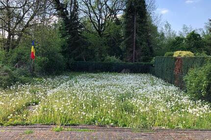 Haus - Platzwunder für Großfamilie oder Wohnen mit Büro - Mönchengladbach Süd