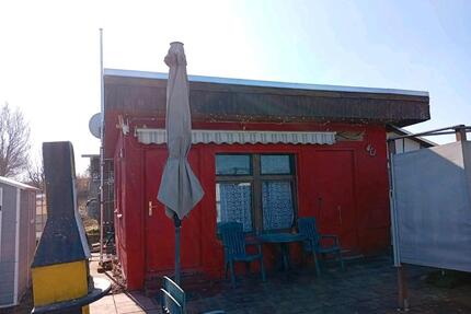 Großer gepflegter Garten 400 m2 Gartenstadt Gartenverein - Hainichen