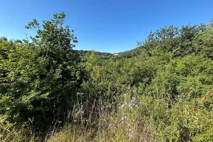 Grundstück zu verkaufen in Hahnenbach 25.000,00 € 582 m²