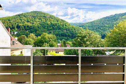 TRADITIONELL: TRAUMAUSSICHT, GROSSES FAMILIENHAUS, EINBAUKÜCHE, 2 STELLPLÄTZE - Heidelberg Schlierbach