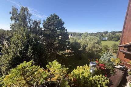 Wohnung zum Kaufen in Zwickau 29.900,00 € 60 m²
