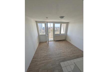 Renovierte 1-Zimmer Wohnung mit Balkon (24qm) nähe Bahnhof Lahr - Lahr (Schwarzwald)