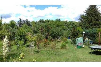 Garten mit Laube Wasser und Strom in Jüterbog zu verpachten