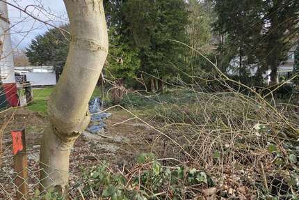 Grundstück zu verkaufen in Solingen 250.000,00 € 628 m²