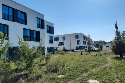 Smartes Studentenapartment zur Miete in Potsdam-Golm - Wentzel Dr.