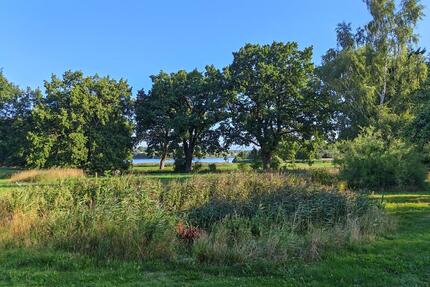 Idyllisches Haus mit ca 1 Hektar Grundstück, Stall+ 1 Hektar Wald - Eldetal