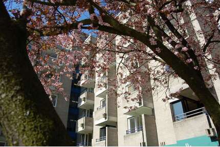 Wohnung zum Mieten in Schwelm, Ennepe-Ruhr-Kreis 575,00 € 58 m²