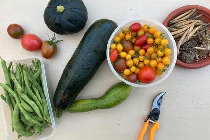 Kleingarten an der Spree - 2.500,00&nbsp;EUR Kaltmiete, ca.&nbsp; 0,00&nbsp;m&sup2; in Cottbus (PLZ: 03046)