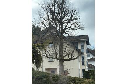 Wohnung in Kelberg - 550,00&nbsp;EUR Kaltmiete, ca.&nbsp; 80,00&nbsp;m&sup2; in Kelberg (PLZ: 53539)