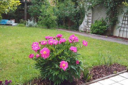 Möblierte 2Zi Wohnung 90 m² mit Garten im Osten von München, S-Bahn S4 S6 - Zorneding bei München