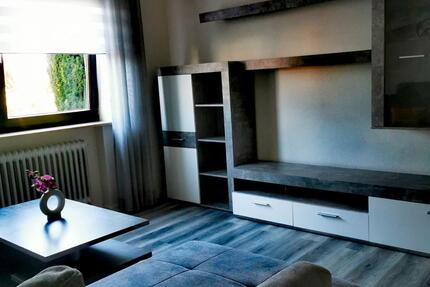 Moderne mobilierte Wohnung, 2 Zimmer, Küche, Bad und Abstellplatz - Aglasterhausen