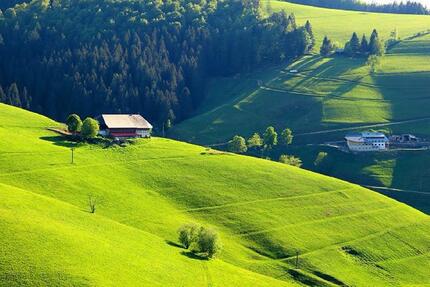 Familienfreundliche 3-Zimmer-Wohnung mit großem Balkon im Grünen - Münstertal/Schwarzwald