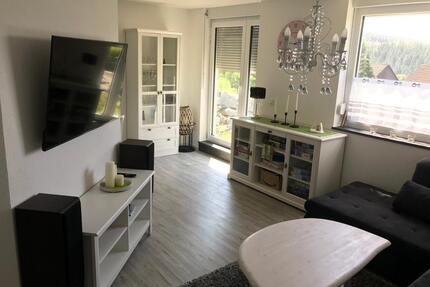 möblierte Wohnung - 1.050,00&nbsp;EUR Kaltmiete, ca.&nbsp; 60,00&nbsp;m&sup2; in Naila (PLZ: 95119)