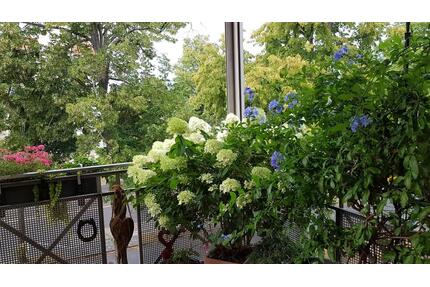 Eigentumswhg. 2 Zi Balkon Aufzug ohne Makler Glienicker Brücke - Potsdam Berliner Vorstadt