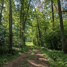 Coachingweg - Weil Veränderung Bewegung braucht!