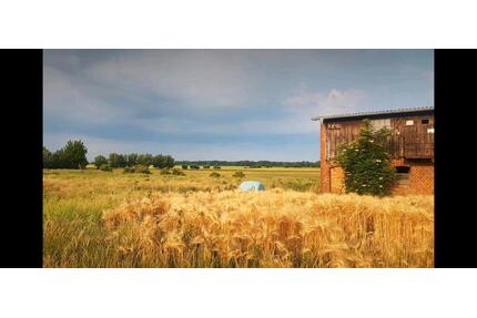 Hell und freundliche 5-Raum Wohnung in Frauendorf - Barth