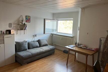 1-Zimmerwohnung - 300,00&nbsp;EUR Kaltmiete, ca.&nbsp; 27,00&nbsp;m&sup2; in Wolfsburg (PLZ: 38442) Ehmen