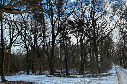 Waldgrundstücke - 2,00&nbsp;EUR Kaltmiete, ca.&nbsp; 0,00&nbsp;m&sup2; in Klötze (PLZ: 38486)