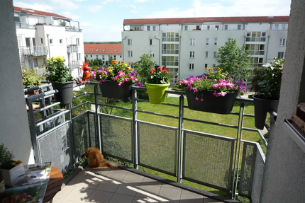 Wohnung zum Mieten in Halle 544,00 € 77.67 m²