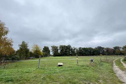 Grundstück in Weisen 29.500,00 € 1945 m²