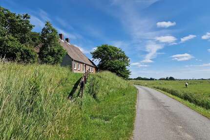 Haus zum Kaufen in Westerhever 349.000,00 € 59 m²