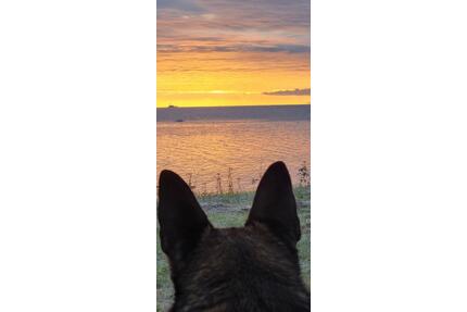 Ferienhaus, ländlich gelegen - 75,00&nbsp;EUR Kaltmiete, in Nordenham (PLZ: 26954)