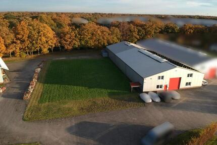 Moderne Gewerbehalle mit großem Außenbereich zu vermieten - Aurich