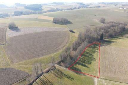 Landwirtschaftliche Fläche Nähe Oberdorfen