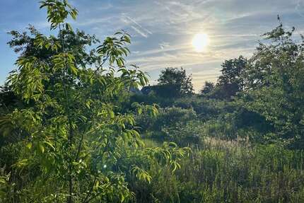 Grundstück zu verkaufen in Heusenstamm 369.000,00 € 708 m²