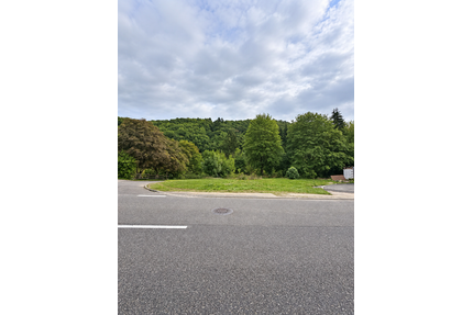 Grundstück zu verkaufen in Blankenheim 59.900,00 € 607 m²