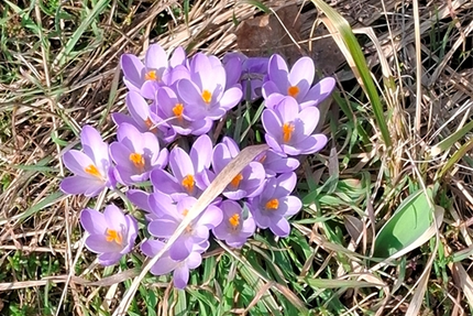 Grundstück zu verkaufen in Groß Kreutz (Havel) 128.000,00 € 1064 m²