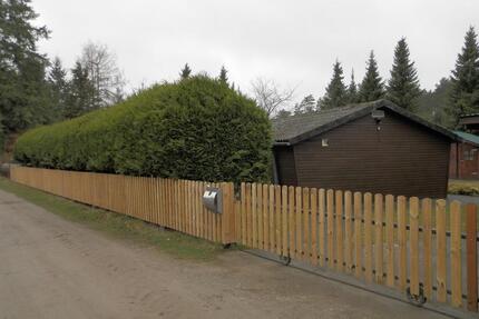 Ruhiges Grundstück mit Haus am Wald - Wesendorf