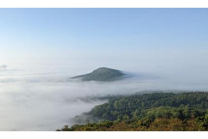Baugrundstück KS-Brasselsberg ca. 2300m² mit Altbestand - Kassel Nordshausen