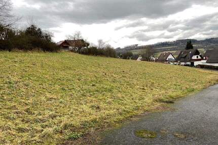Mit Grundstück: Unabhängigkeit & Nähe ideal kombiniert im Town & Country Doppelhaus in Spangenberg